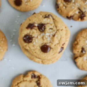 Salty Sweet Chocolate Chip Cookies 6 img 20827 5
