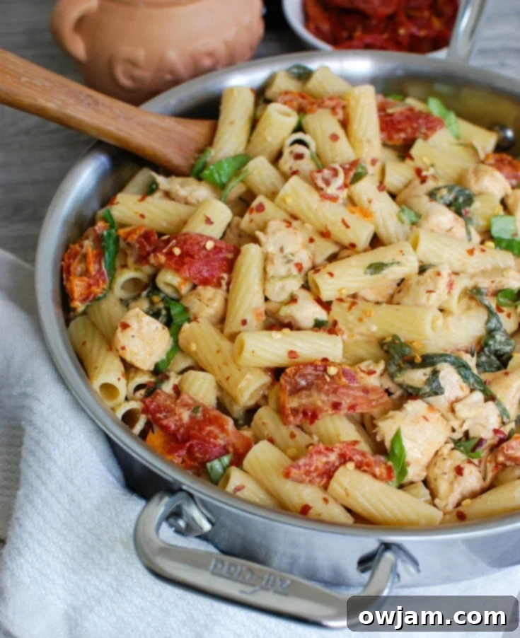 Tuscan Chicken Mozzarella Pasta 2 Mozzarella Chicken Pasta with Sun-dried Tomatoes is an easy and delicious meal! We love this one.