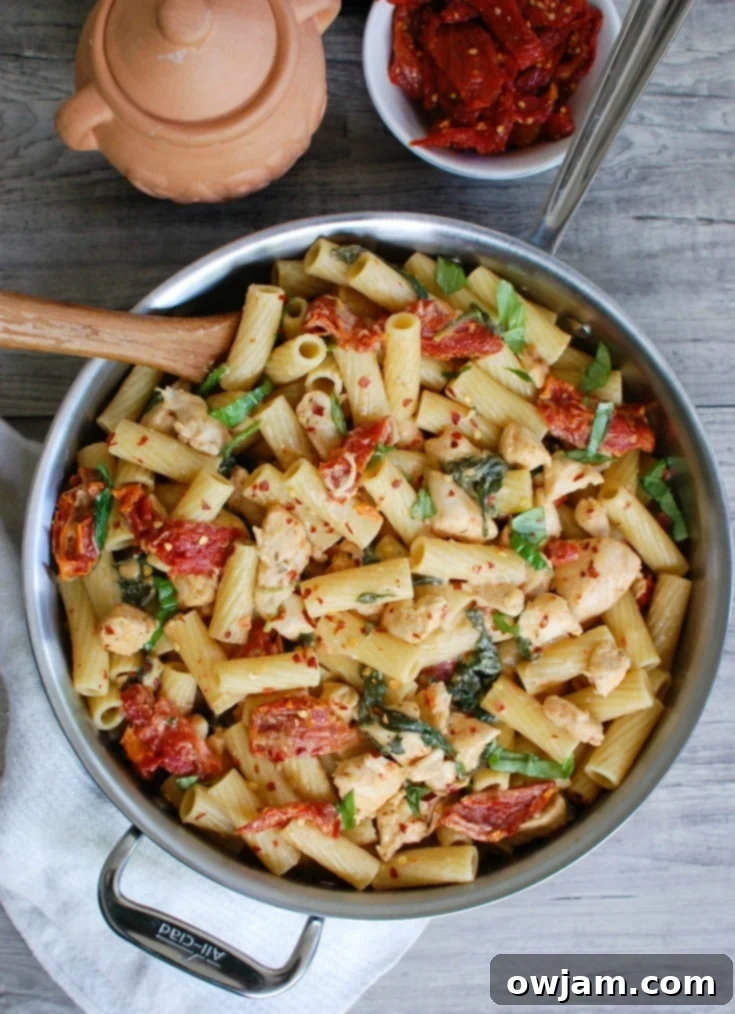 Tuscan Chicken Mozzarella Pasta 4 Mozzarella Chicken Pasta with Sun-dried Tomatoes is an easy and delicious meal! A family favorite in my house!