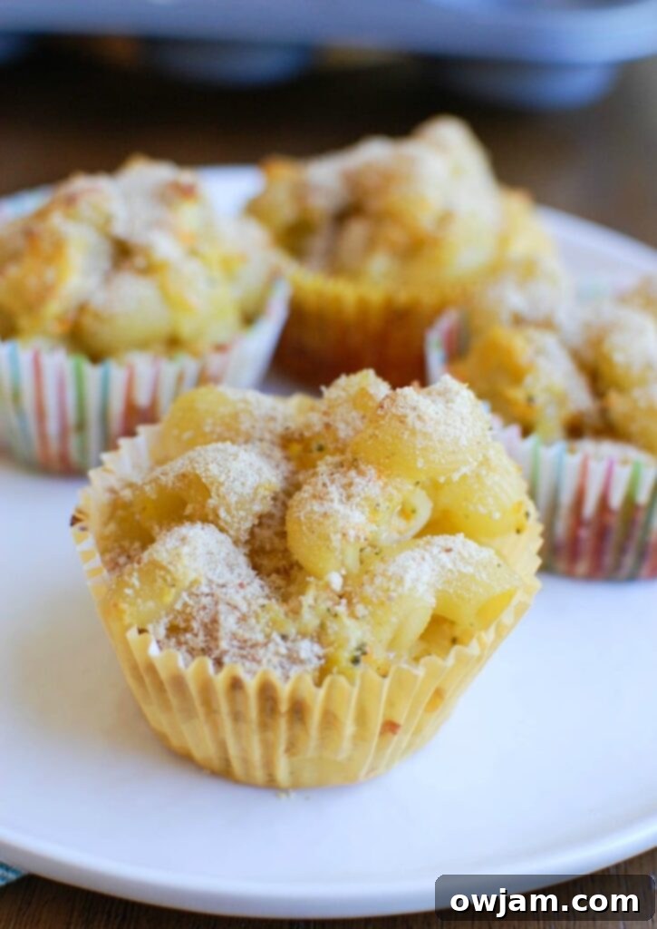 Close-up of a Mac and Cheese Muffin showing its cheesy texture and crunchy topping.