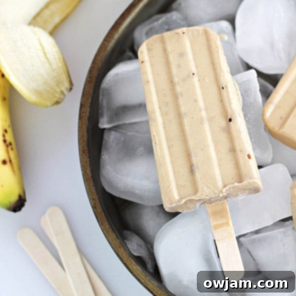 25 Icy Delights to Beat the Summer Heat 13 HomeCookingMemories-Peanut-Butter-Banana-Yogurt-Pops-square