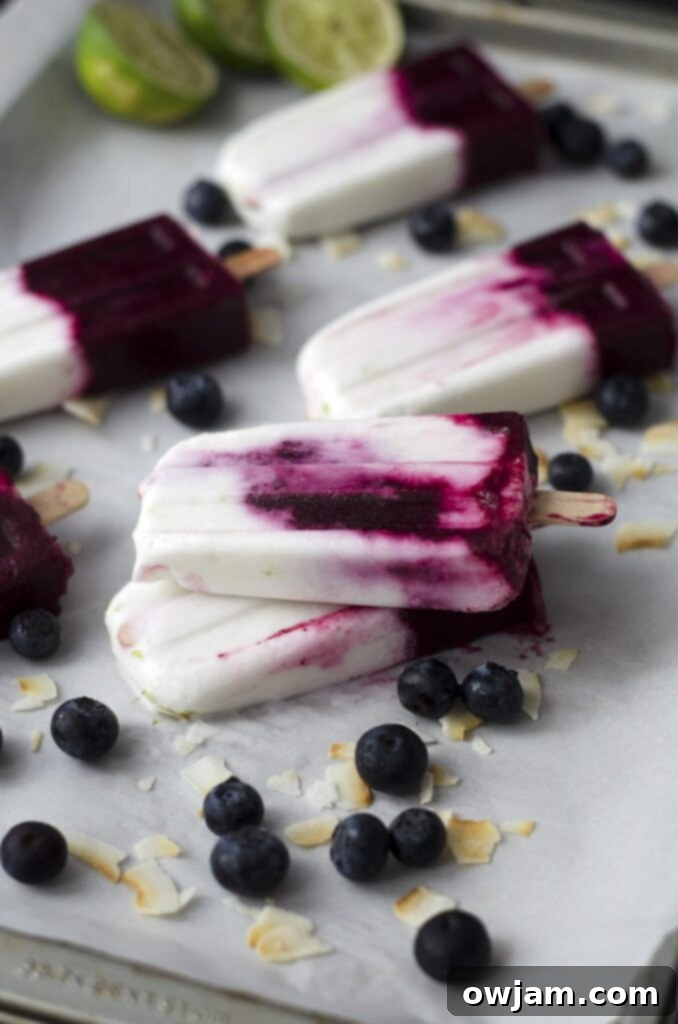25 Icy Delights to Beat the Summer Heat 14 roastedblueberrycoconutandlimepopsicles1
