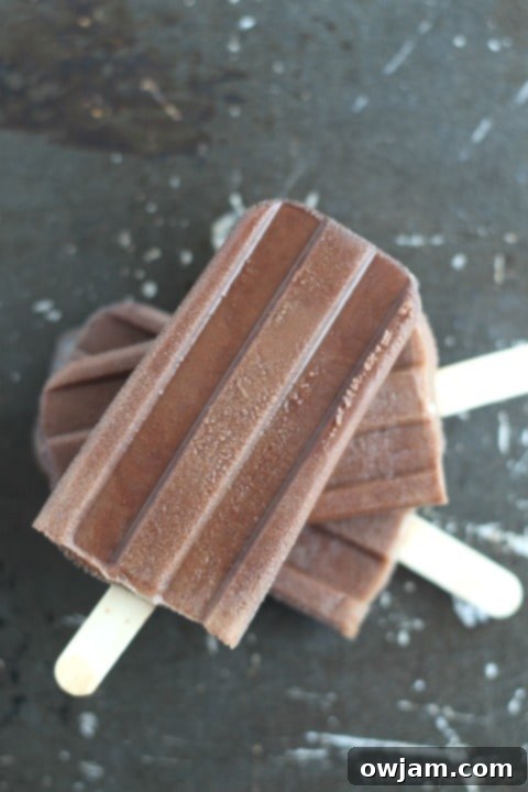 25 Icy Delights to Beat the Summer Heat 24 THK-Fudgesicles2