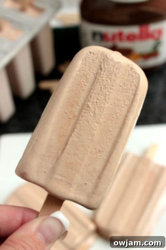 25 Icy Delights to Beat the Summer Heat 8 Nutella20Cool20Whip20Popsicles20202_zpsotgdsyyj