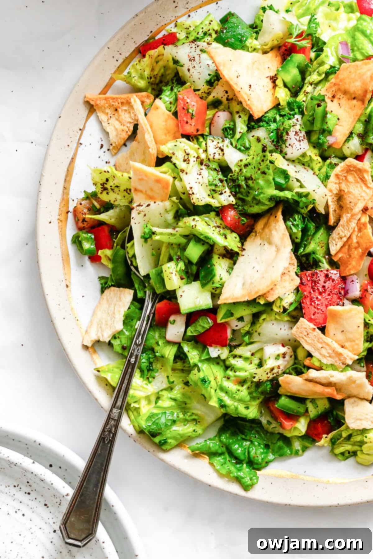 Close-up of Fattoush Salad on a white plate, highlighting the crisp pita bread