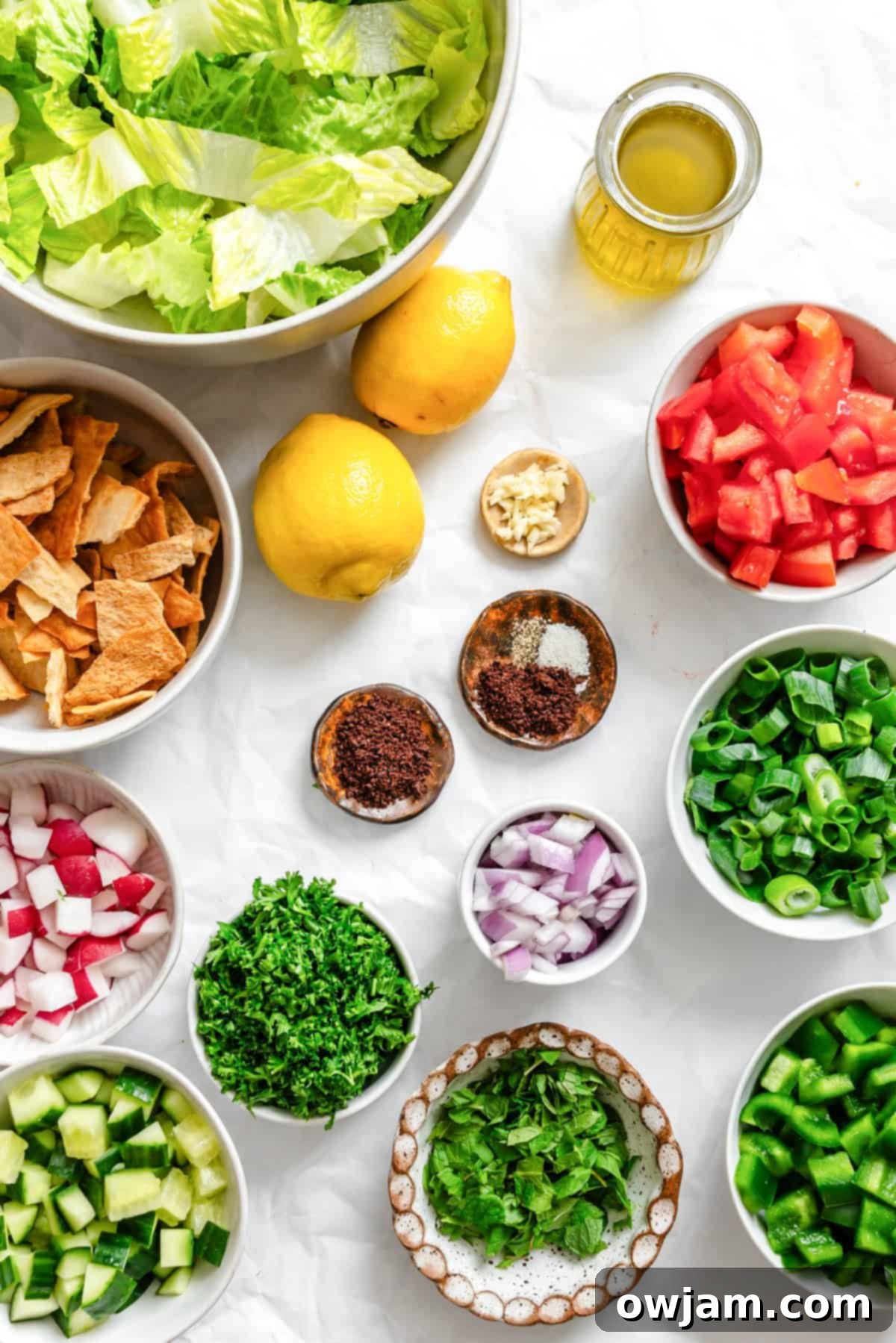 Ingredients for Fattoush Salad laid out: romaine lettuce, cucumber, tomatoes, radishes, green onions, mint, parsley, sumac, and pita bread