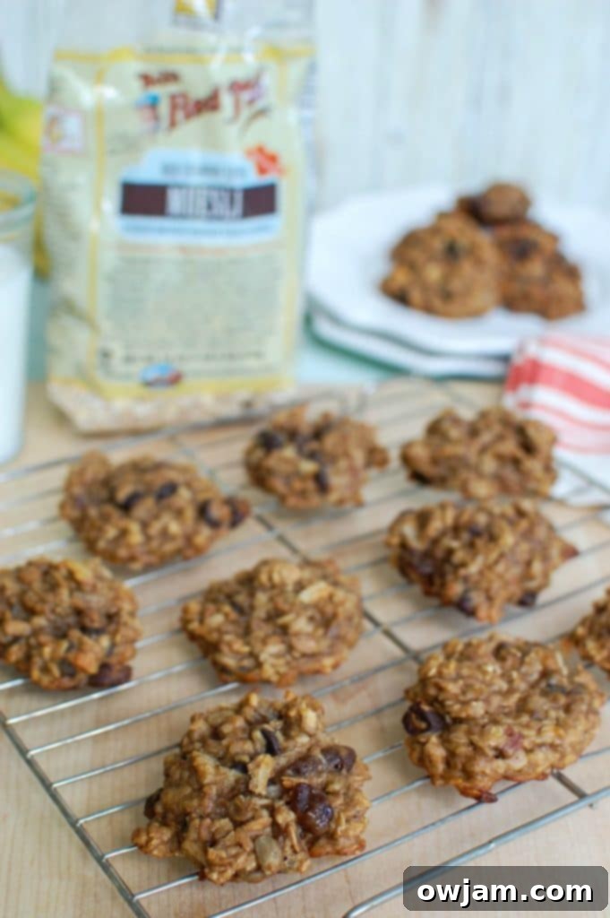 Banana Muesli Breakfast Cookies