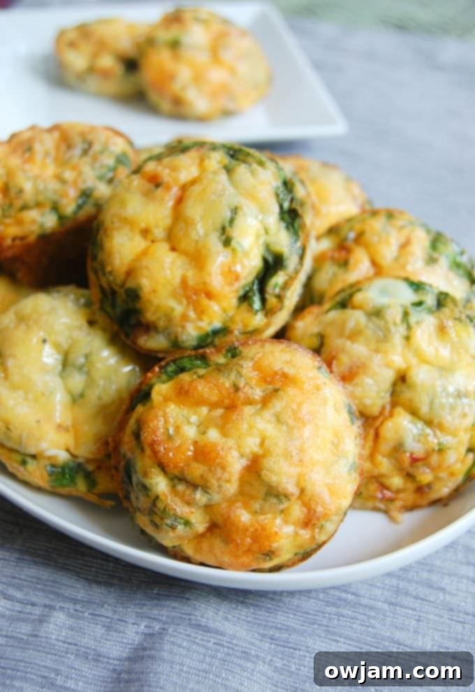 Vegetarian Egg Muffins