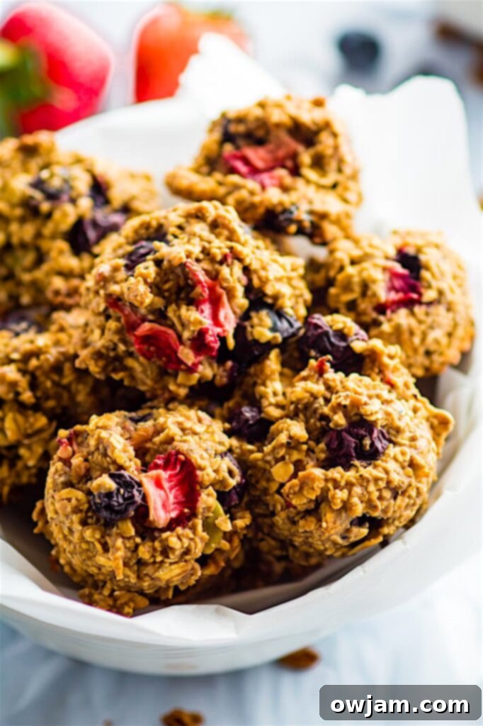 One Bowl Gluten Free Berry Oatmeal Breakfast Cookies