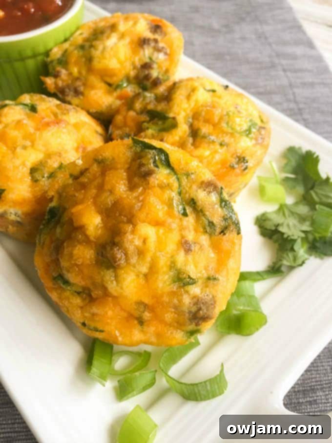 Southwestern Taco Egg Muffins