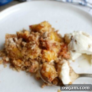 A dish of freshly baked Peach Crisp, topped with a scoop of melting vanilla ice cream.