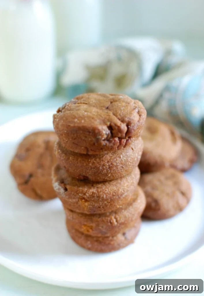Spiced Molasses Ginger Chews 3 Soft and chewy Double Ginger Molasses Cookies cooling on a wire rack, sprinkled with sugar.