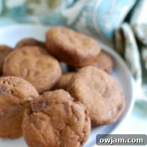 Spiced Molasses Ginger Chews 6 Freshly baked Double Ginger Molasses Cookies, ready to eat.