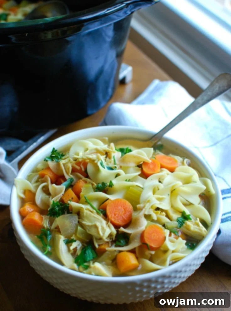 Slow Cooker Chicken Noodle Soup in white bowl 