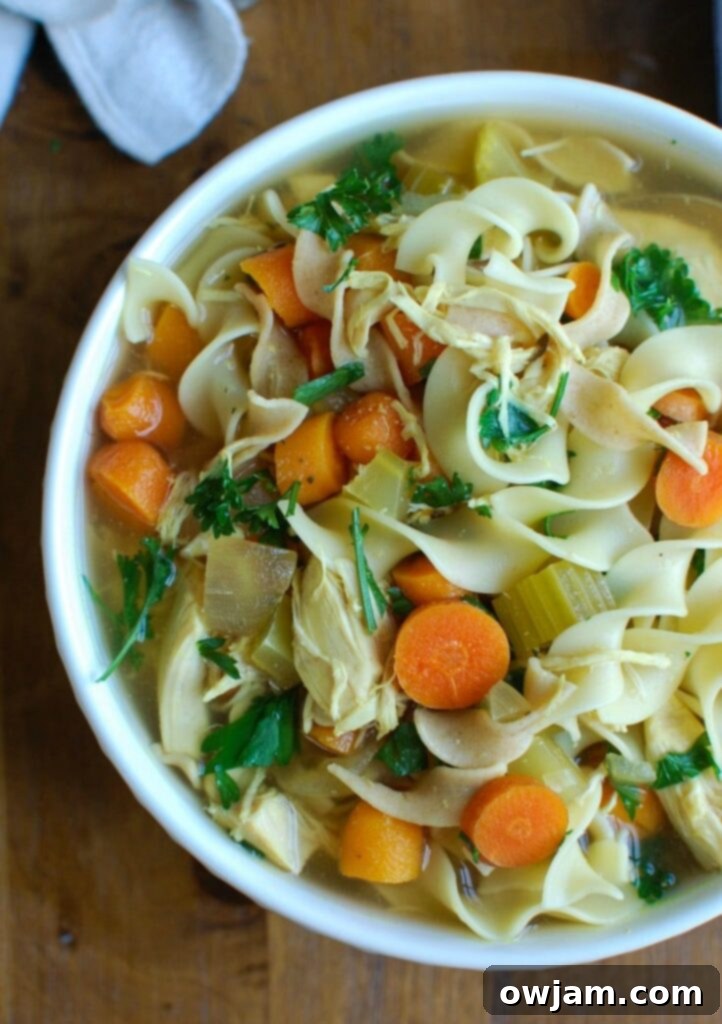 Slow Cooker Chicken Noodle Soup Above 