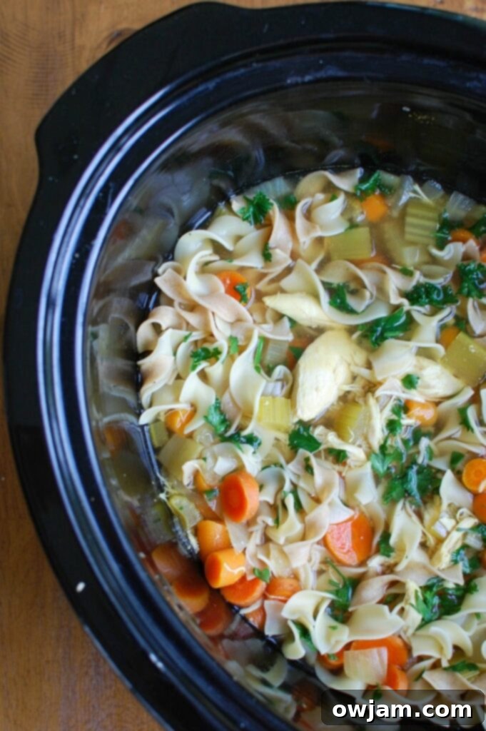Slow Cooker Chicken Noodle Soup in Crockpot 