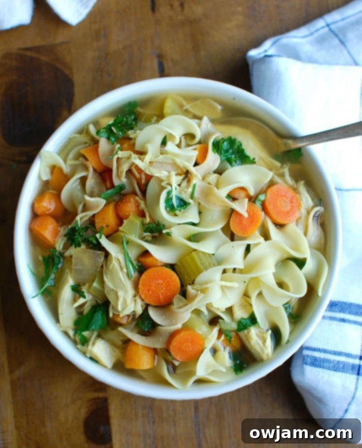 Slow Cooker Chicken Noodle Soup with Silver Spoon 