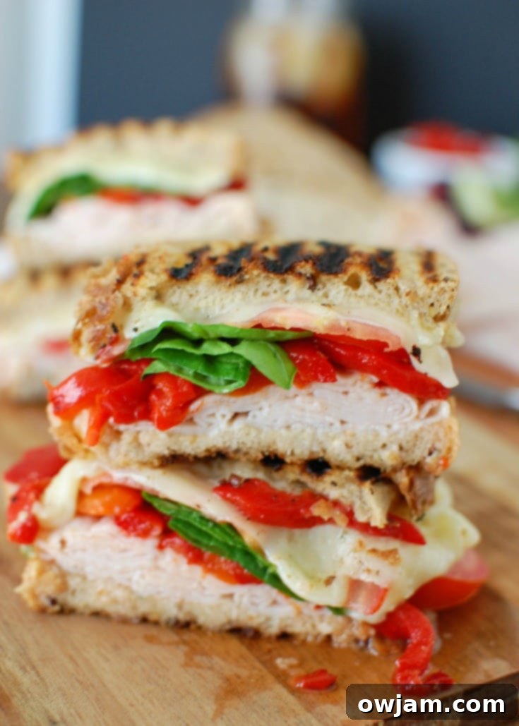 Mediterranean Turkey and Hummus Panini 4 A freshly pressed Mediterranean Turkey Hummus Panini, sliced in half, showing the layers of turkey, hummus, cheese, roasted red peppers, and spinach.