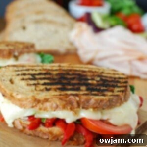 Mediterranean Turkey and Hummus Panini 5 A top-down view of a golden-brown, crispy Mediterranean Turkey Hummus Panini, artfully sliced and ready to serve.