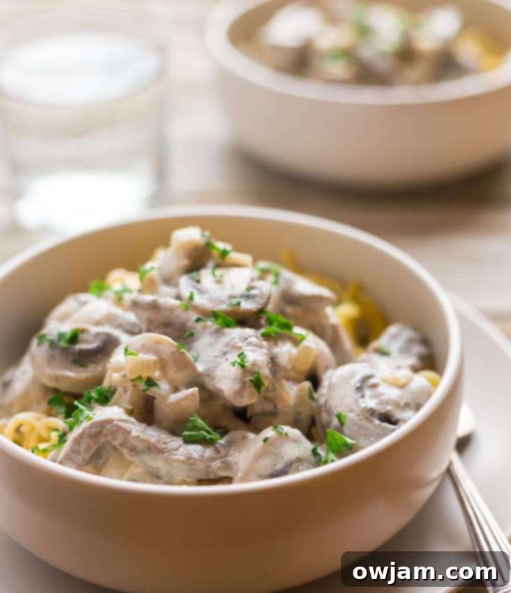 A bowl of Paleo Beef Stroganoff with creamy sauce and herbs.