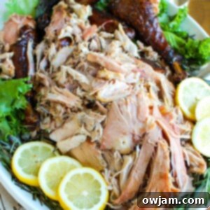 Close-up of a smoked turkey showing crispy skin and delicious texture.