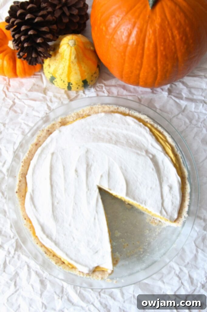 Gluten-Free Pumpkin Cream Pie slice with whipped cream.