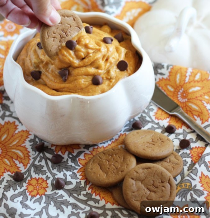 Pumpkin Chocolate Chip Dip served with graham crackers.