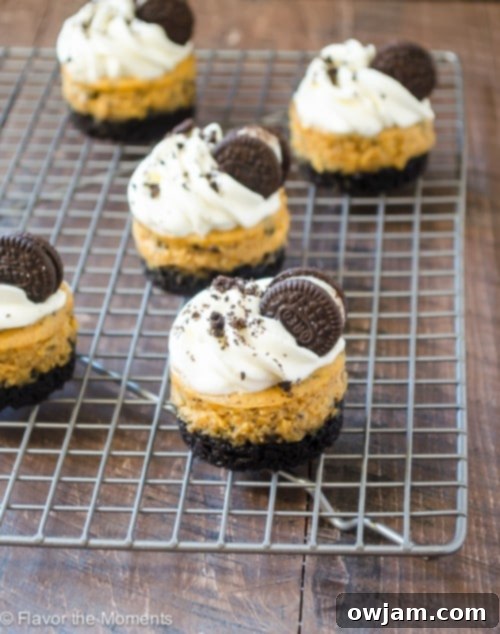 Mini Cookies N’ Cream Pumpkin Cheesecakes on a platter.