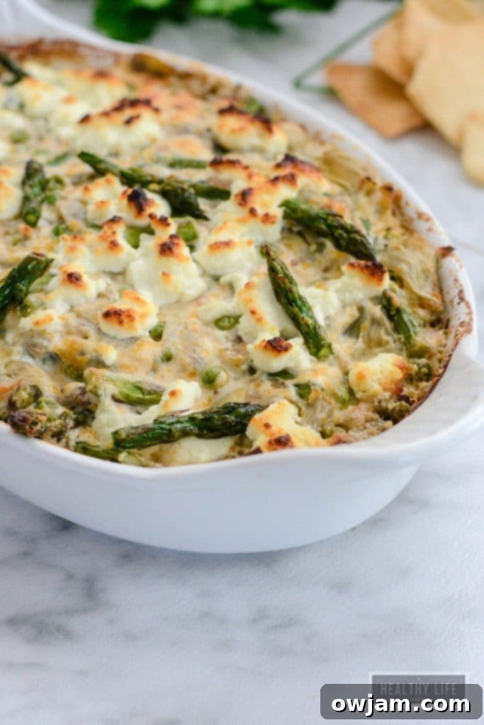 vegetable-goat-cheese-dip-2