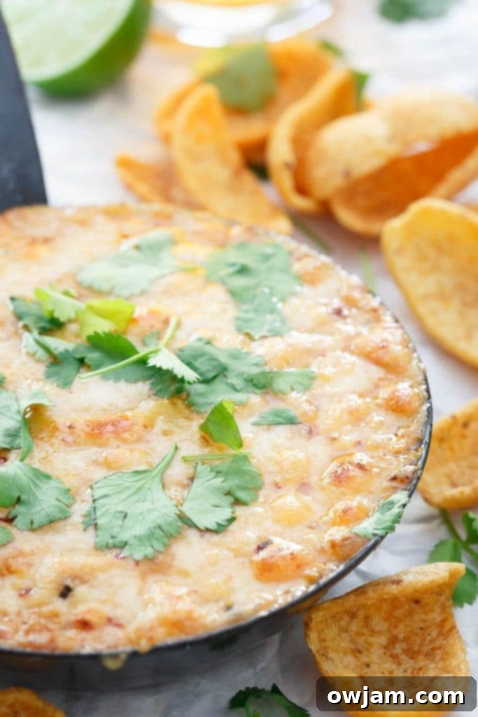 chipotle-hummus-fundido-3-683x1024
