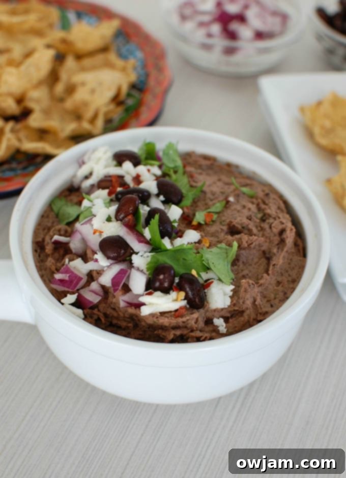 1-black-bean-dip-with-queso-fresco-1-of-1
