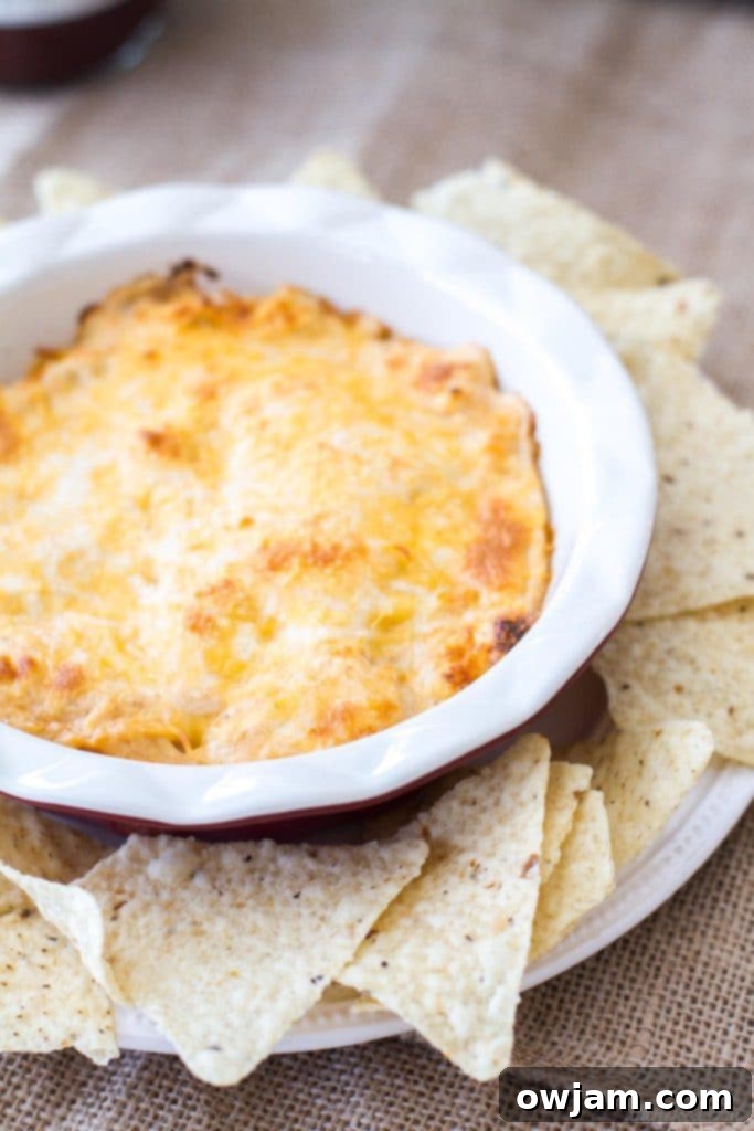 barbecue-dip-88