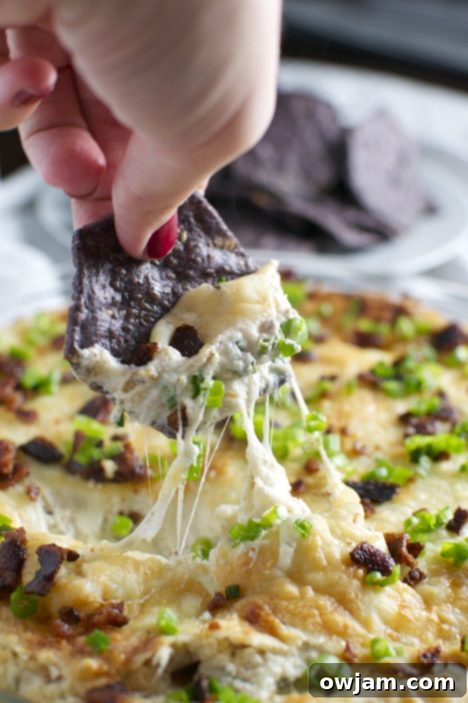 garlic-bacon-cheese-dip-www-stuckonsweet-com-1
