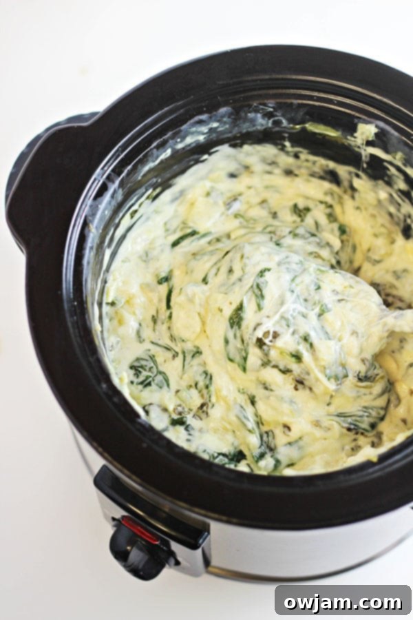 slow-cooker-spinach-and-artichoke-dip-b