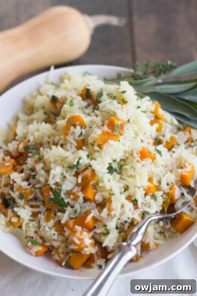 butternut-squash-bismati-rice-4