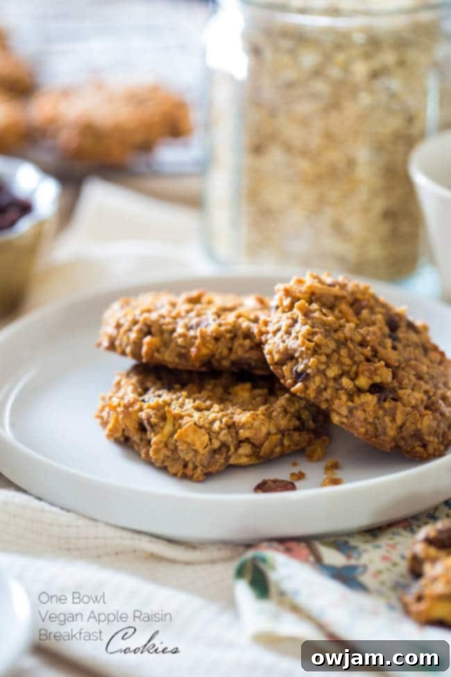breakfast-cookies-imagery