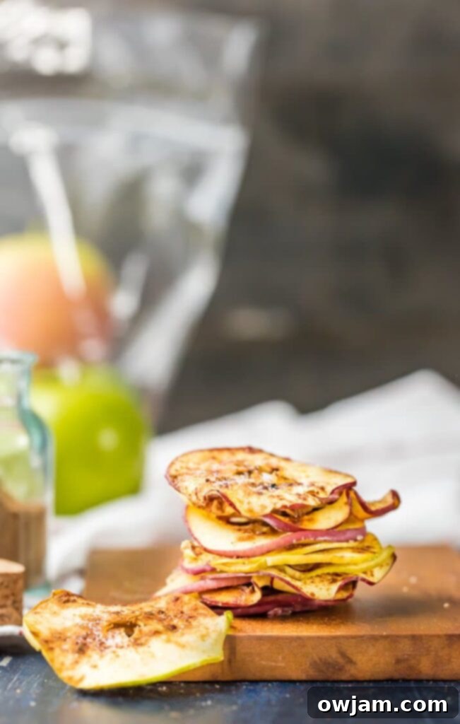 cinnamon-sugar-microwave-apple-chips-4-of-10