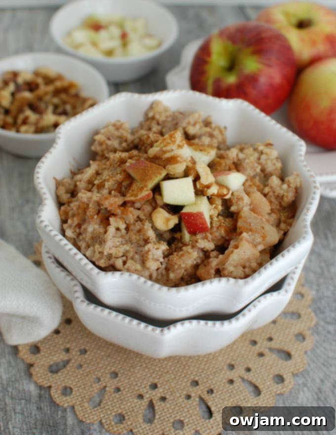 7-slow-cooker-apple-pie-oatmeal-6-1-of-1