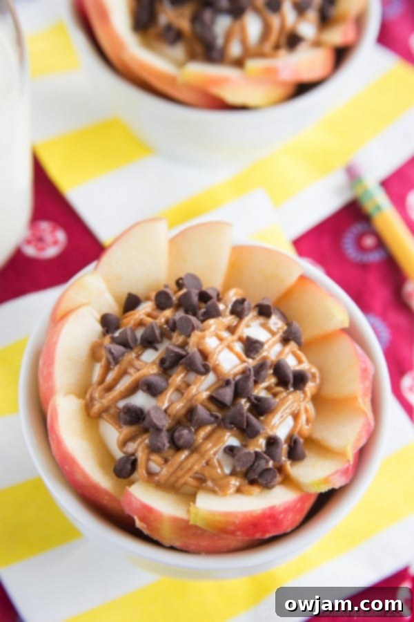 peanut-butter-chocolate-chip-cheesecake-apple-nachos-bowls-recipe-3088