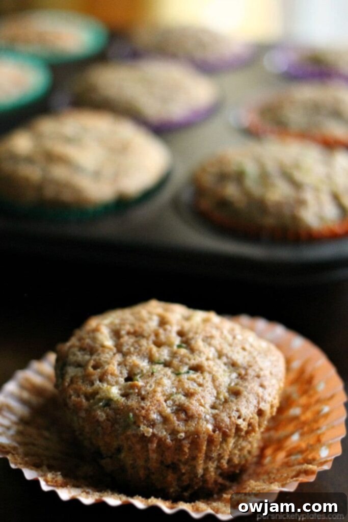 apple-cinnamon-zucchini-muffins2