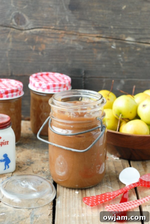 slow-cooker-pennsylvania-dutch-spiced-apple-butter-boulderlocavore-com-885