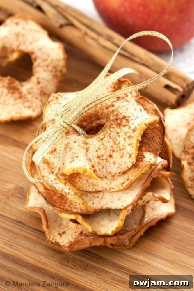 3-apple-and-cinnamon-chips-8-1-of-1