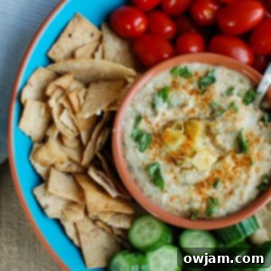 Creamy White Bean Artichoke Dip 9 White Bean Artichoke Dip is a healthy appetizer, snack or spread for sandwiches. White beans, artichokes, lemon juice, olive oil, cayenne pepper, basil and garlic are blended and topped with fresh basil and parsley to create a healthy, flavorful dip.