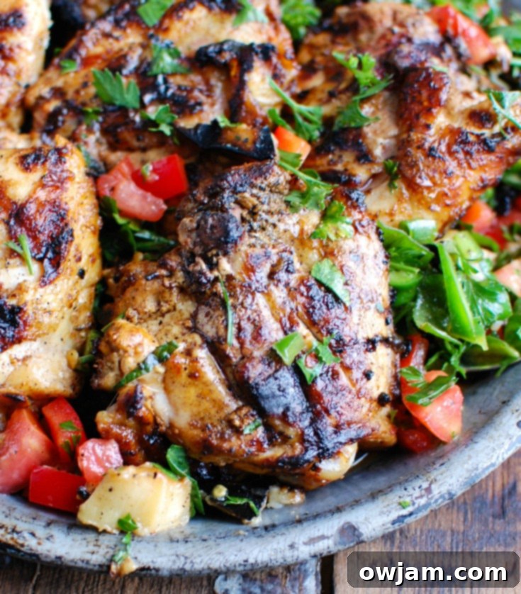 Shish Tawook 5 Shish Tawook with Eggplant Salad