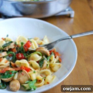 Orecchiette with Sausage, Kale, and Sundried Tomatoes