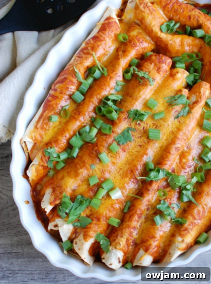 Vegetarian Black Bean Enchiladas are perfect for meatless Monday! Spice up Mexican night with these healthy enchiladas!