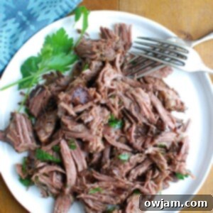 Effortlessly Elegant Red Wine Slow Cooker Ribs 7 Slow Cooker Red Wine Short Ribs with rich sauce.