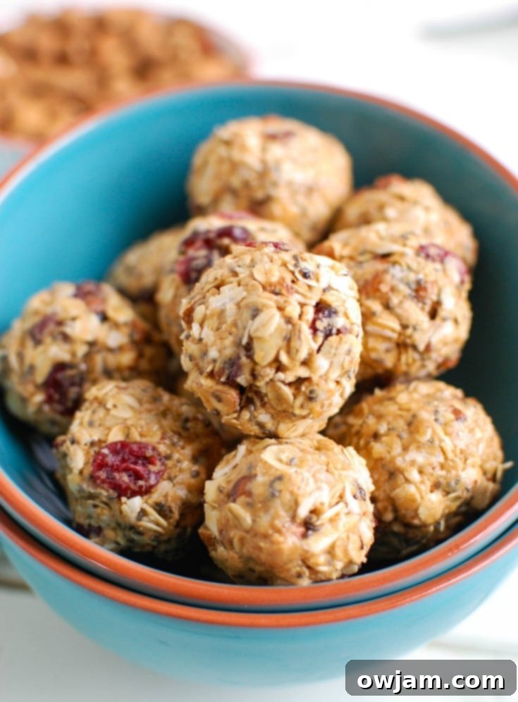 Almond Cranberry Recharge Bites 2 A close-up of wholesome Cranberry Almond Energy Bites, showcasing their texture and ingredients, ready to be enjoyed as a healthy, no-bake snack.