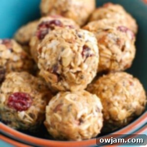 Almond Cranberry Recharge Bites 7 Cranberry Almond Energy Bites 1200 x 1200
