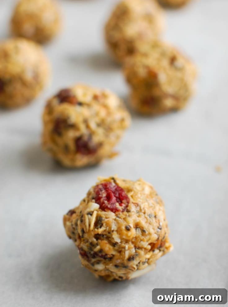 Almond Cranberry Recharge Bites 4 A large mixing bowl containing the dry ingredients for Cranberry Almond Energy Bites, including oats, perfectly chopped almonds, fluffy shredded coconut, vibrant dried cranberries, aromatic cinnamon, and tiny chia seeds, awaiting the wet ingredients.